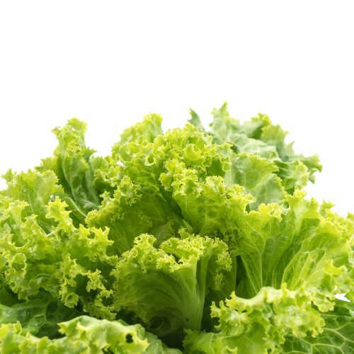 Fresh Lettuce on white background