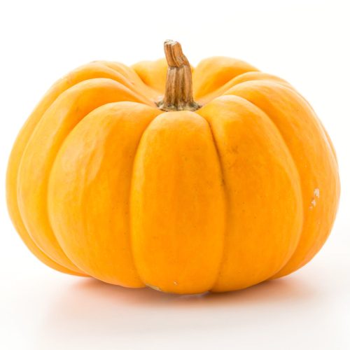 fresh pumpkin on white background